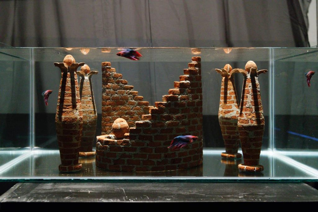 Estefanía Valls Urquijo