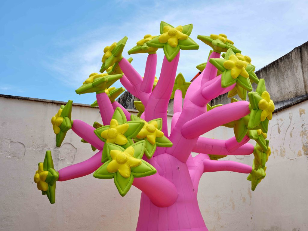 Martín Wannam en la 24 Bienal de Arte Paiz